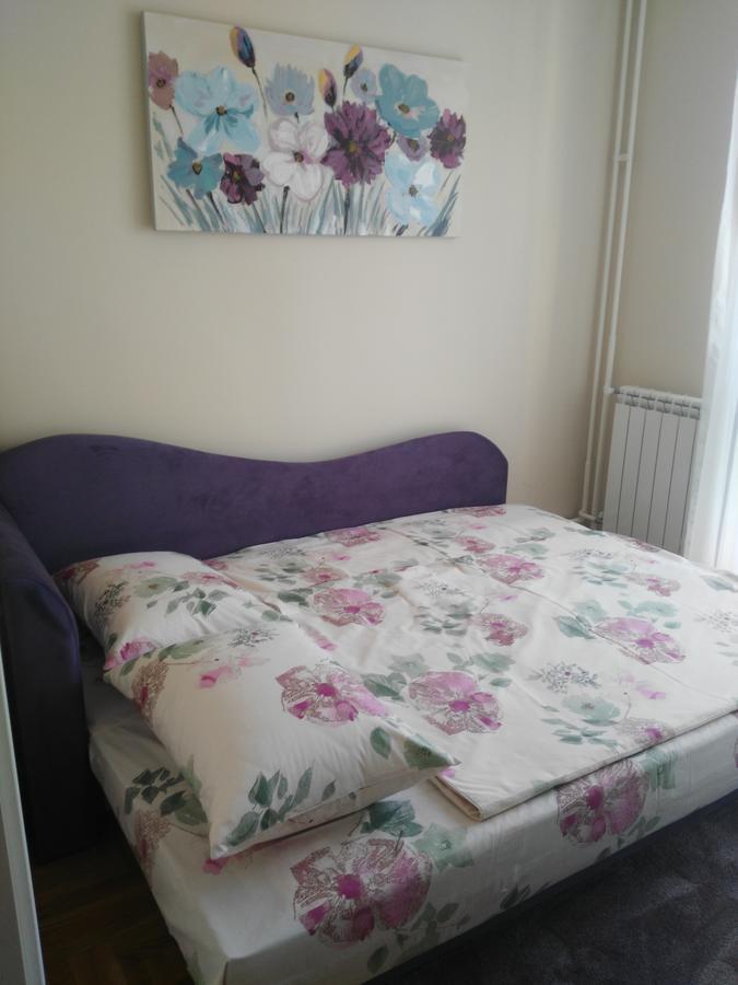Vlado Apartment เบลเกรด ภายนอก รูปภาพ